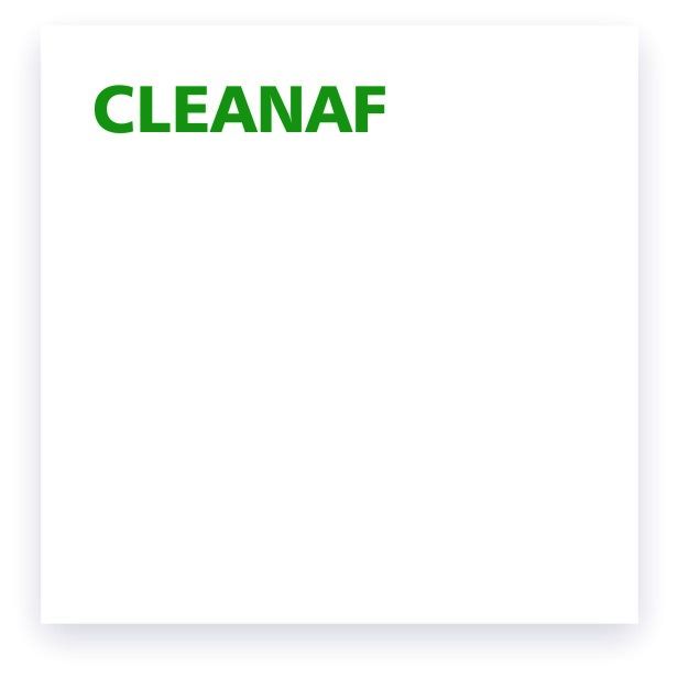 Republic of Soap - cleanAF